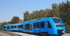 <b>�������܇����2021���ꑵ�������m(x��)����̿��_1000����</b>