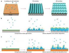 <b>�����ɴ�W����PDMS�� �p��䇽���늳�䇾�֦������</b>